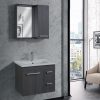 linea650 1